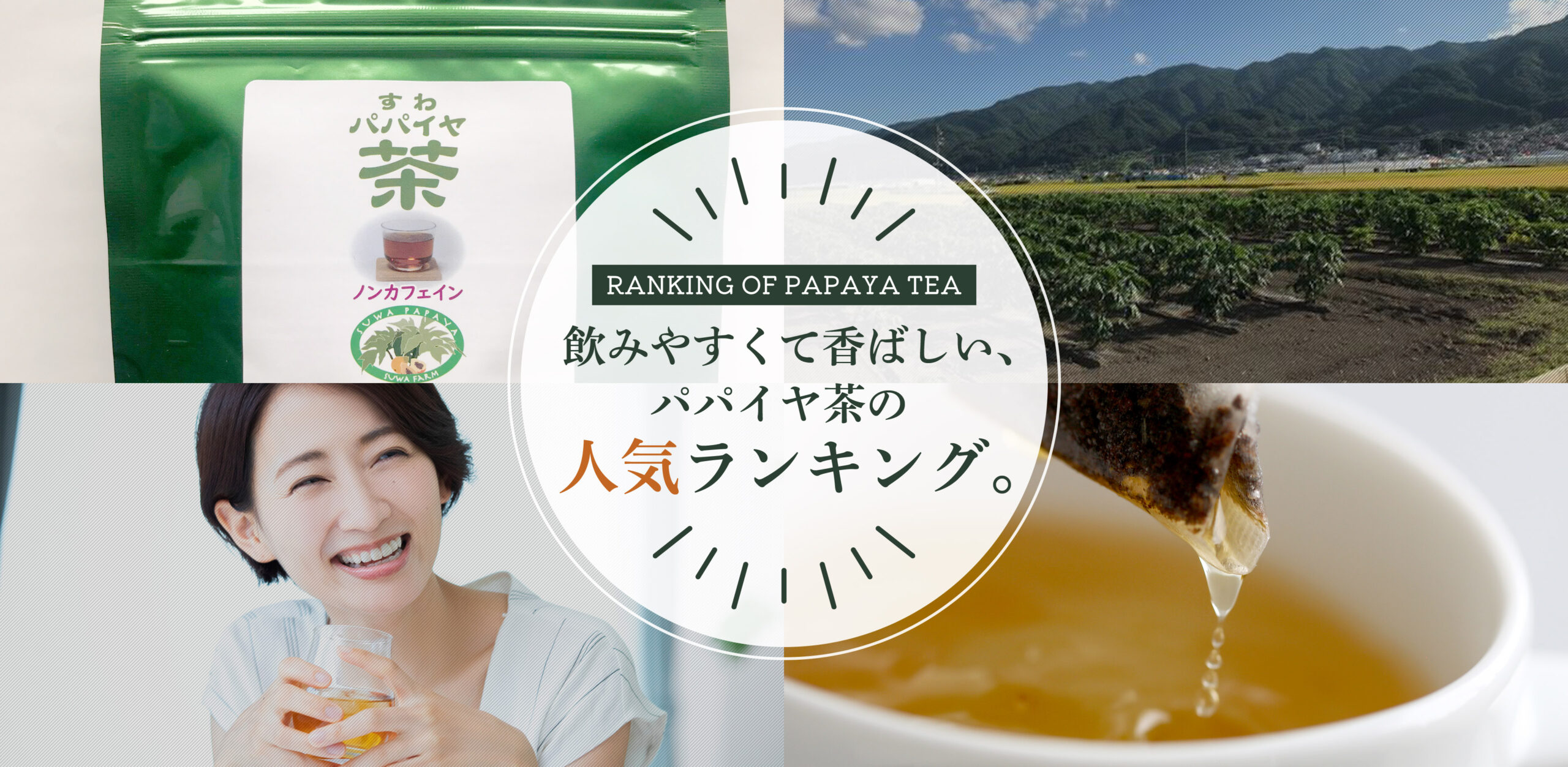 パパイヤ茶の滝れ方	