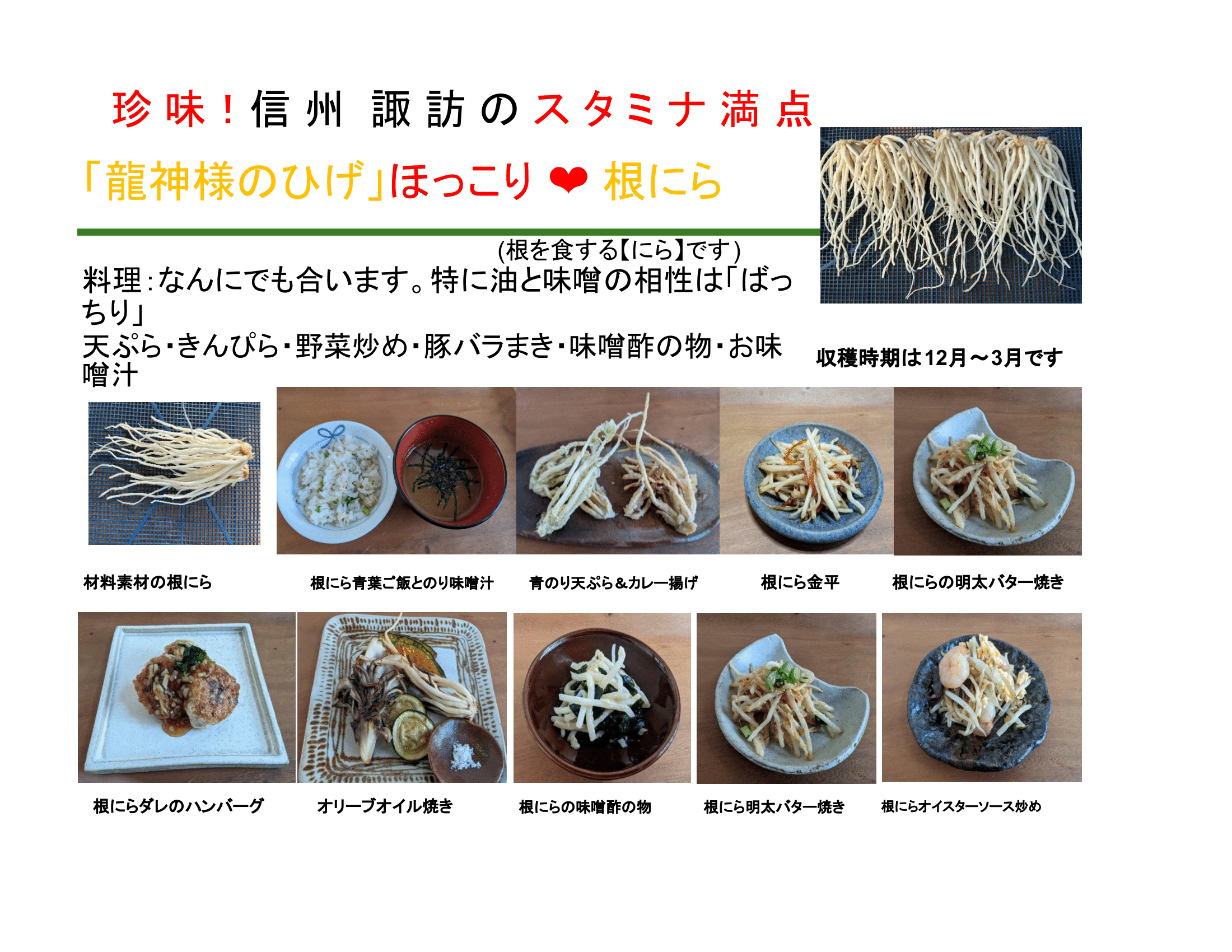 龍神様のひげ（根ニラ）レシピ